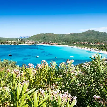Giotto In Sardegna With Shared Pool Vila *